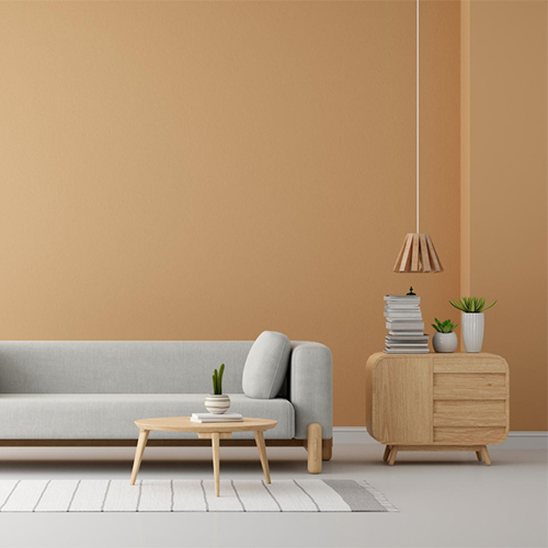 Photo Studio